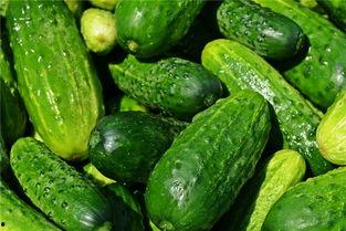 梦见贩卖青瓜吃瓜,青瓜贩卖与神秘瓜果之旅