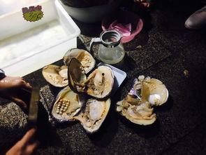 娘娘直播间吃瓜,揭秘娱乐圈幕后吃瓜大事件