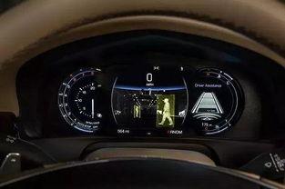 开车吃瓜图片大全,盘点开车吃瓜瞬间