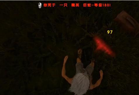 海盗吃瓜的视频,揭秘海上生活趣味瞬间